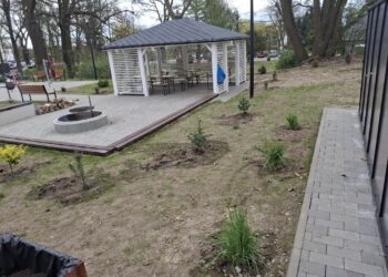 Metamorfoza w Krośnicach