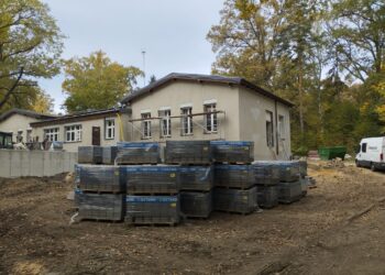 Metamorfoza w Krośnicach