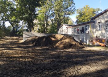 Metamorfoza w Krośnicach