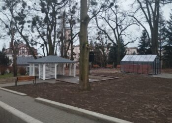 Metamorfoza w Krośnicach