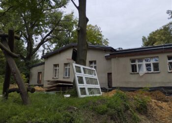 Metamorfoza w Krośnicach