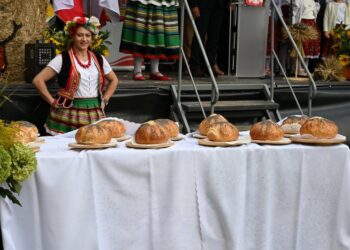 Smolice gospodarzem święta plonów