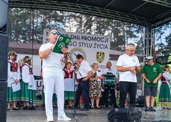 Zdrowie w trzeźwości