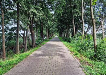 Remont grobli Stawno–Ruda Milicka