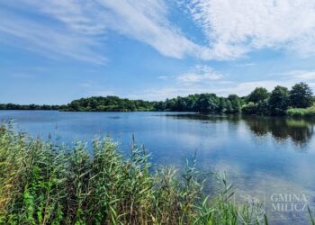 Remont grobli Stawno–Ruda Milicka