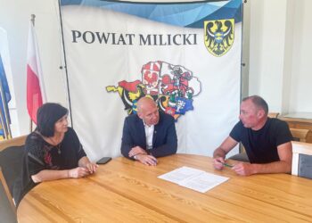Nowe oblicze Orlików