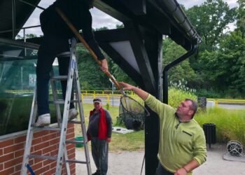 Modernizacja akwarium plenerowego