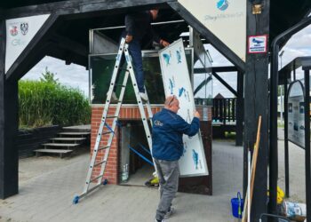 Modernizacja akwarium plenerowego