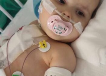 Walcząca o życie Milenka potrzebuje naszej pomocy!