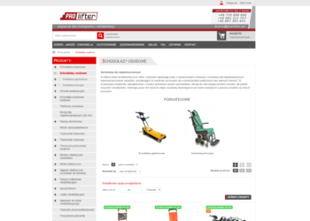 Schodołazy dla niepełnosprawnych czy winda domowa? Porównanie rozwiązań