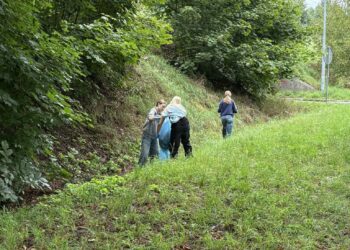 Młodzież działa dla natury