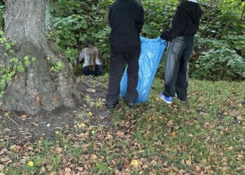 Młodzież działa dla natury