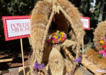 Dożynki wojewódzkie