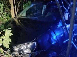 Pijany 19-latek wjechał do rowu