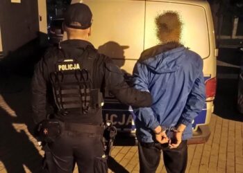 Zatrzymany trafił do Rawicza