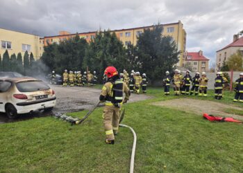 Nowe zagrożenia, nowe umiejętności