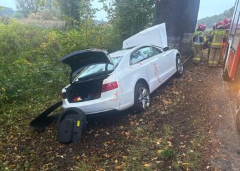 Pijany kierowca Audi uderzył w drzewo