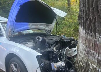 Pijany kierowca Audi uderzył w drzewo Pijany kierowca Audi uderzył w drzewo