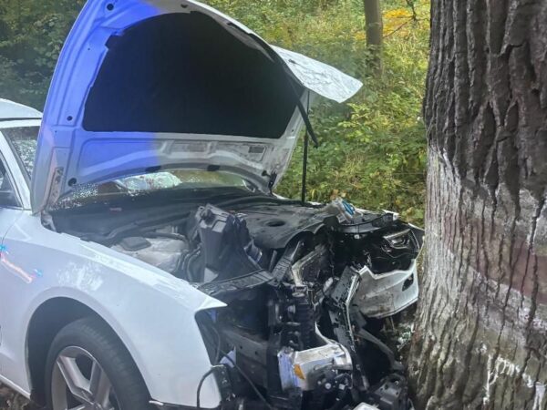 Pijany kierowca Audi uderzył w drzewo