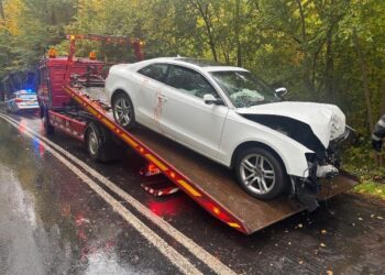 Pijany kierowca Audi uderzył w drzewo