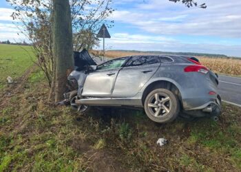 Nietrzeźwy kierowca uderzył w drzewo Nietrzeźwy kierowca uderzył w drzewo