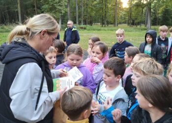 Święto pieczonego ziemniaka w Międzyborzu