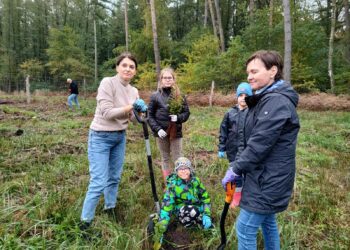 Las dla przyszłych pokoleń
