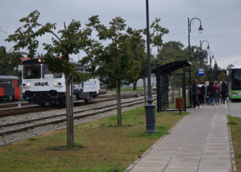 Wizyta studyjna bibliotekarzy