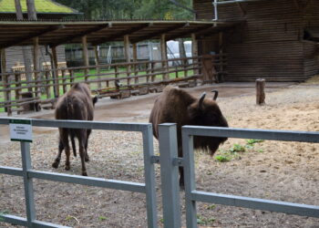Wizyta studyjna bibliotekarzy