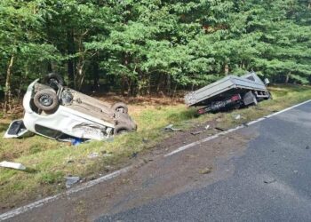 Czołowe zderzenie pod Skoroszowem