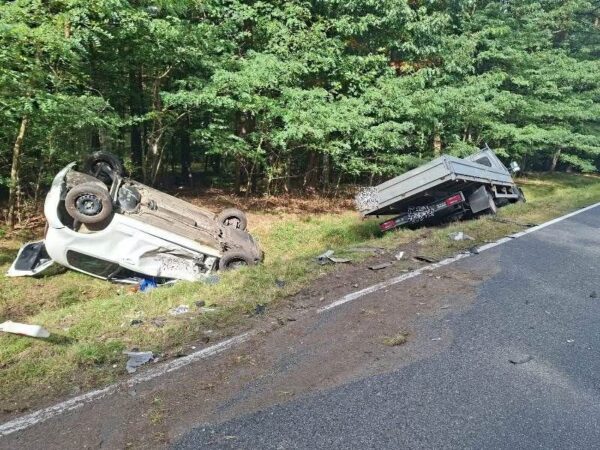 Czołowe zderzenie pod Skoroszowem
