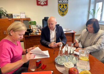 Bezpieczniej i wygodniej w Wielgich Milickich Bezpieczniej i wygodniej w Wielgich Milickich