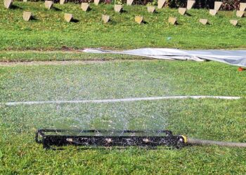 Nowe zagrożenia, nowe umiejętności