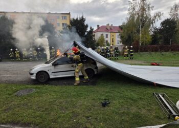 Nowe zagrożenia, nowe umiejętności
