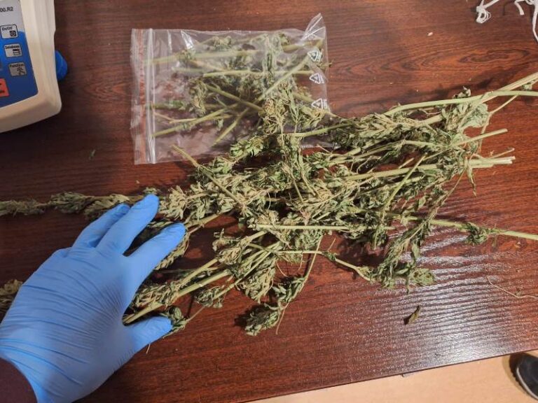 Marihuana zamiast prania