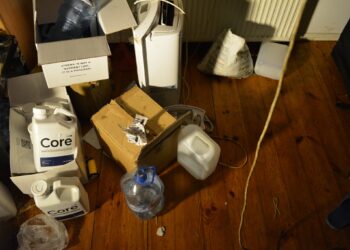 Plantacja konopi zlikwidowana