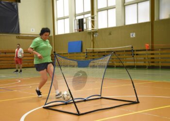 Rok aktywności i integracji w MSPDiON