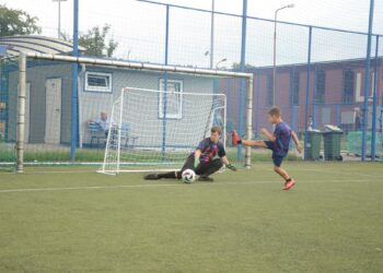 Rok aktywności i integracji w MSPDiON