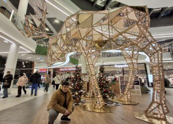 Asystenci pomogli 127 osobom. Milickie Stowarzyszenie podsumowuje program