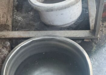 Zaniedbany pies w Sułowie. Zwierzę zabezpieczono po zgłoszeniu