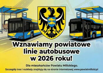 Autobusy wracają na trasy w powiecie milickim