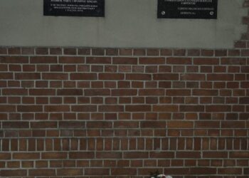 Krotoszyn oddał hołd