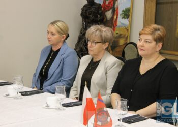 Strażacy z powiatu krotoszyńskiego podsumowali miniony rok
