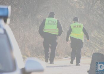 Tragiczny wypadek na torach. Nie żyje jedna osoba