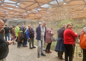 Weekendy z samodzielnością