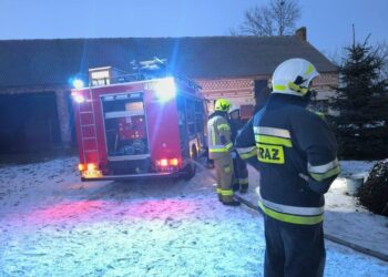 Pożar w Zalesiu Małym. Strażacy ewakuowali mężczyznę