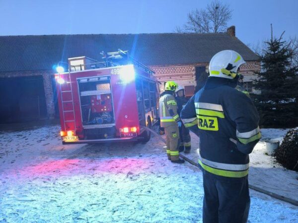 Pożar w Zalesiu Małym. Strażacy ewakuowali mężczyznę