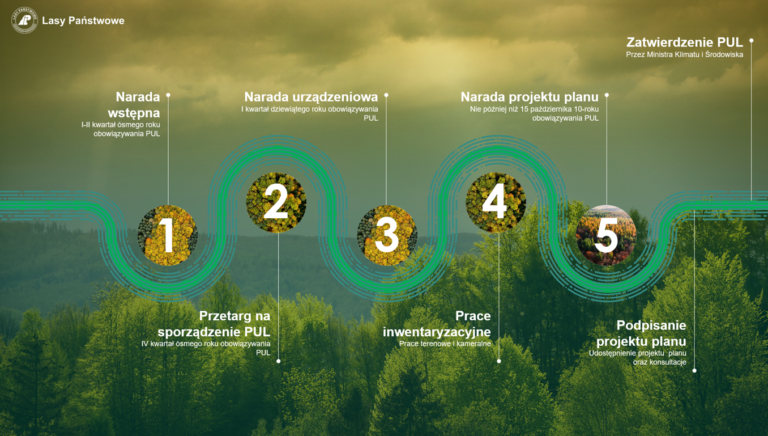 „Plan na las” dla Nadleśnictwa Krotoszyn
