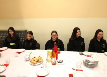 OSP Kobylin z nowym zarządem