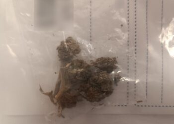 14-latek z Milicza miał przy sobie kilka porcji marihuany 14-latek z Milicza miał przy sobie kilka porcji marihuany